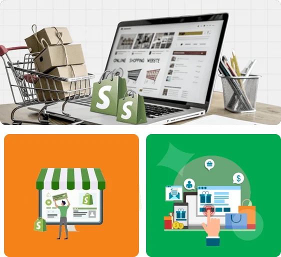 Shopify Website Development